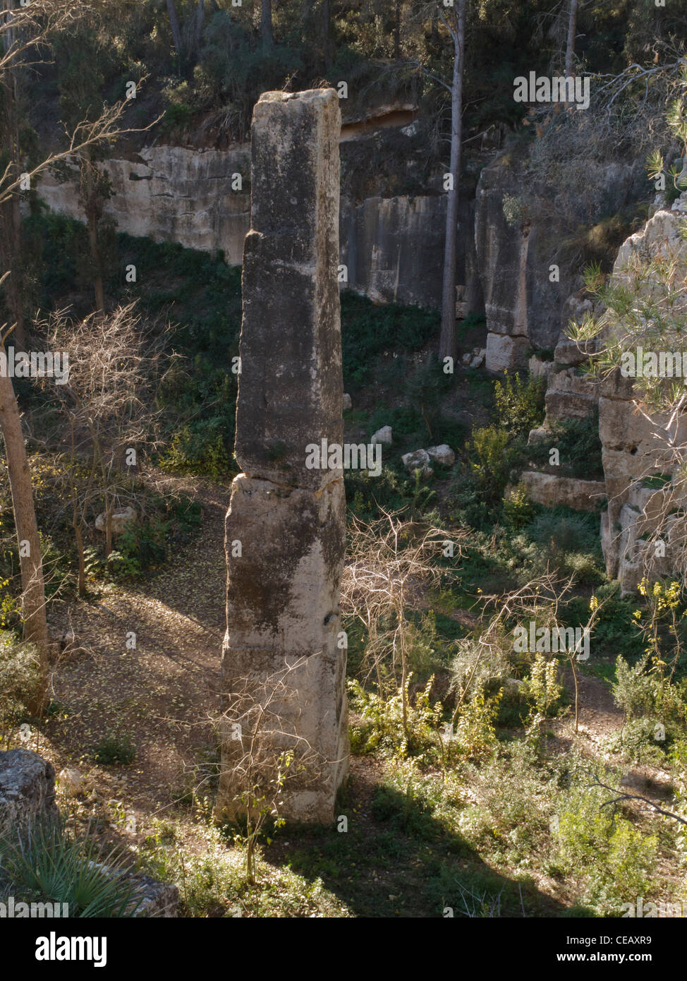 Carrière romaine abandonnée d'El Medol, près de Tarragone, Espagne. La plupart des bâtiments de la capitale ibérique Tarraco ont été construits en utilisant des blocs de pierre sculptés ici. Banque D'Images