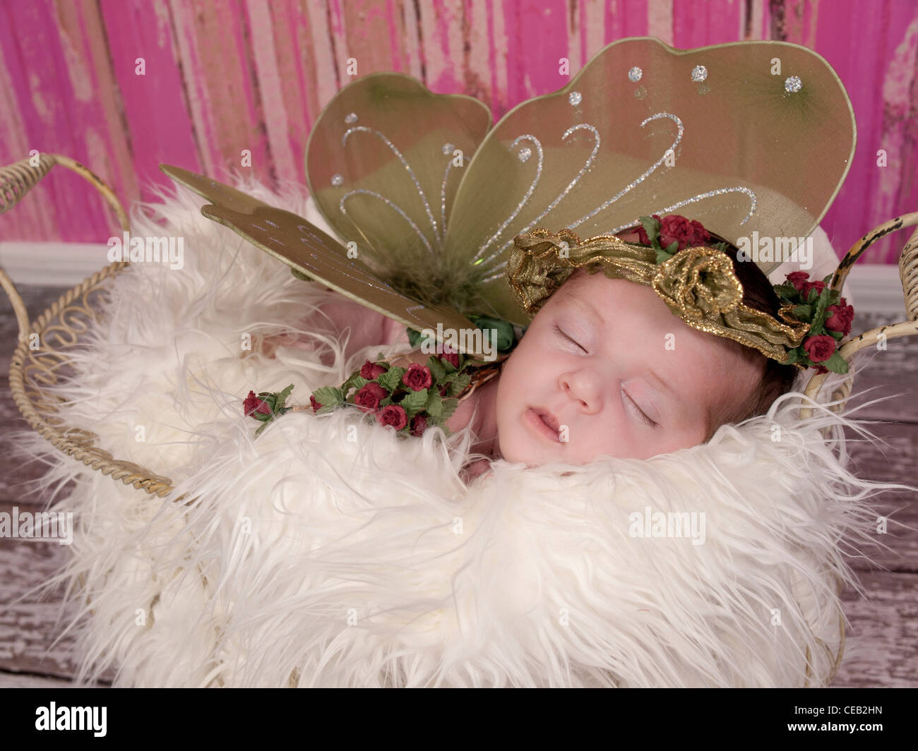 Beau Bebe Fille Nouveau Ne Endormi Dans Un Jardin Panier De Fourrure Blanche Elle A Des Ailes Et Un Adulte Avec Des Roses Elle Ressemble A Une Fee Photo Stock Alamy
