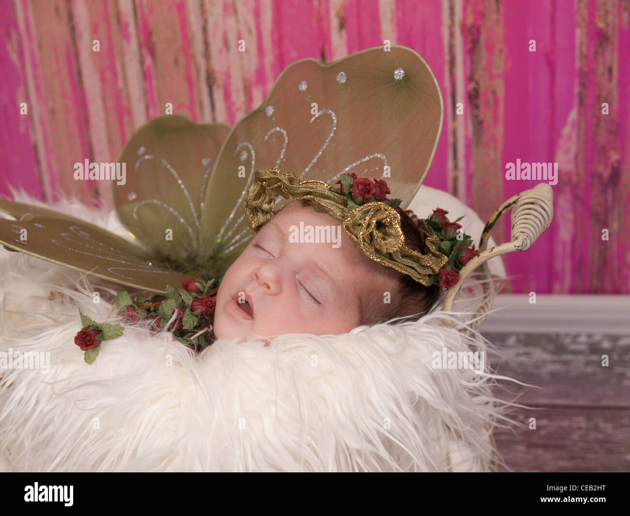 Beau Bébé fille nouveau-né endormi dans un jardin panier de fourrure blanche. Elle a des ailes et un adulte avec des roses elle ressemble à une fée. Banque D'Images