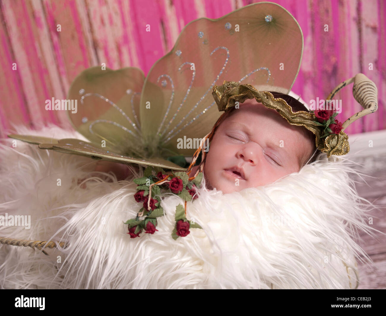Beau Bebe Fille Nouveau Ne Endormi Dans Un Jardin Panier De Fourrure Blanche Elle A Des Ailes Et Un Adulte Avec Des Roses Elle Ressemble A Une Fee Photo Stock Alamy