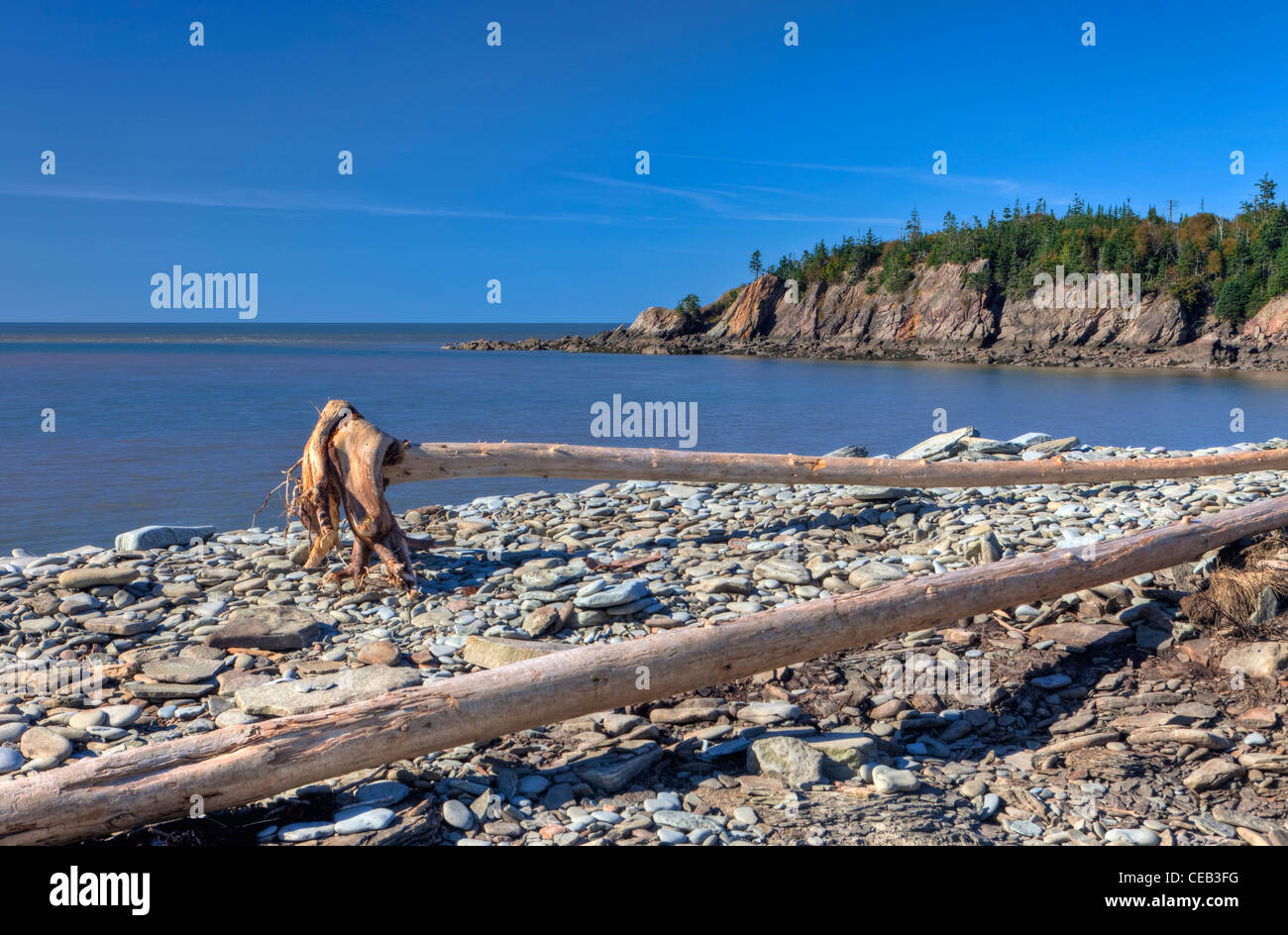 Plage de galets, le Cap Enragé, baie de Fundy, l'océan Atlantique, Nouveau-Brunswick Banque D'Images