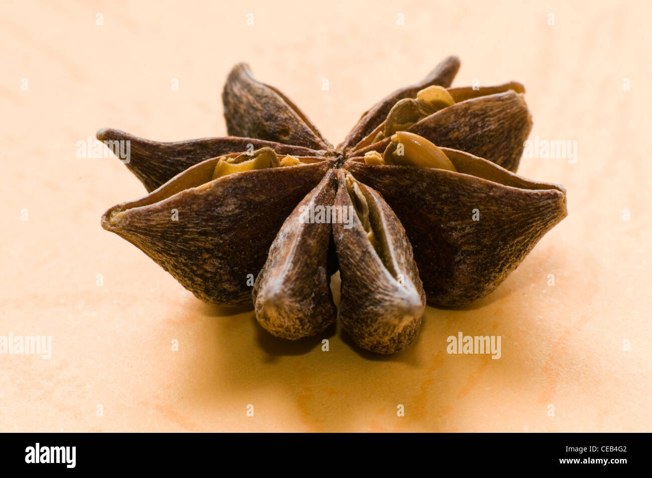 Anis étoilé. Banque D'Images