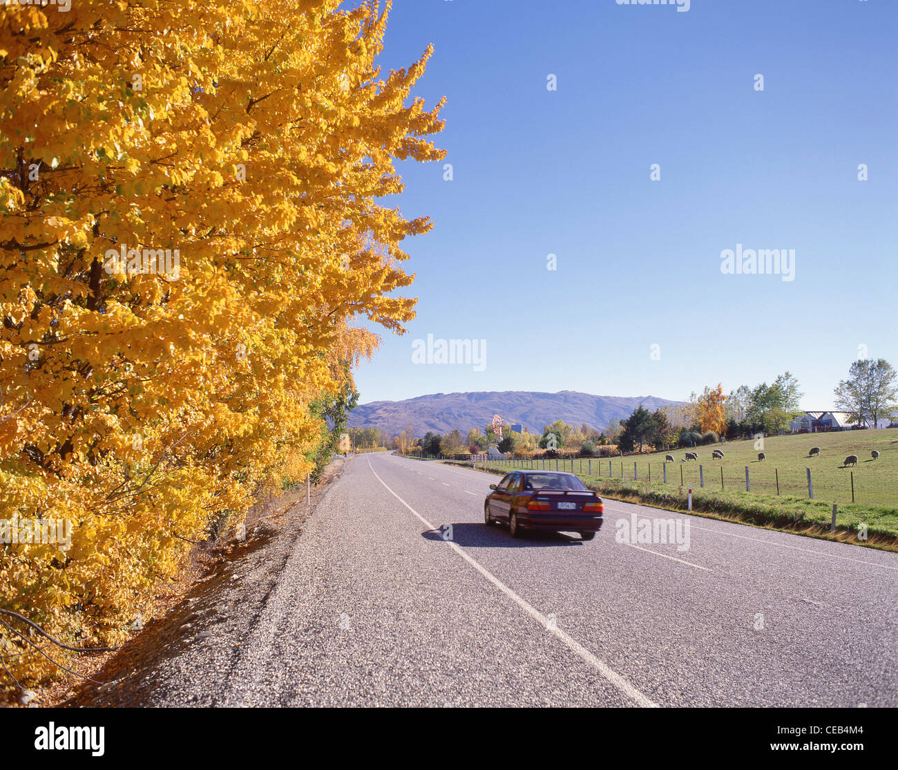 Conduite de voiture sur l'autoroute Gibbston.6. près de Queenstown, Région de l'Otago, île du Sud, Nouvelle-Zélande Banque D'Images
