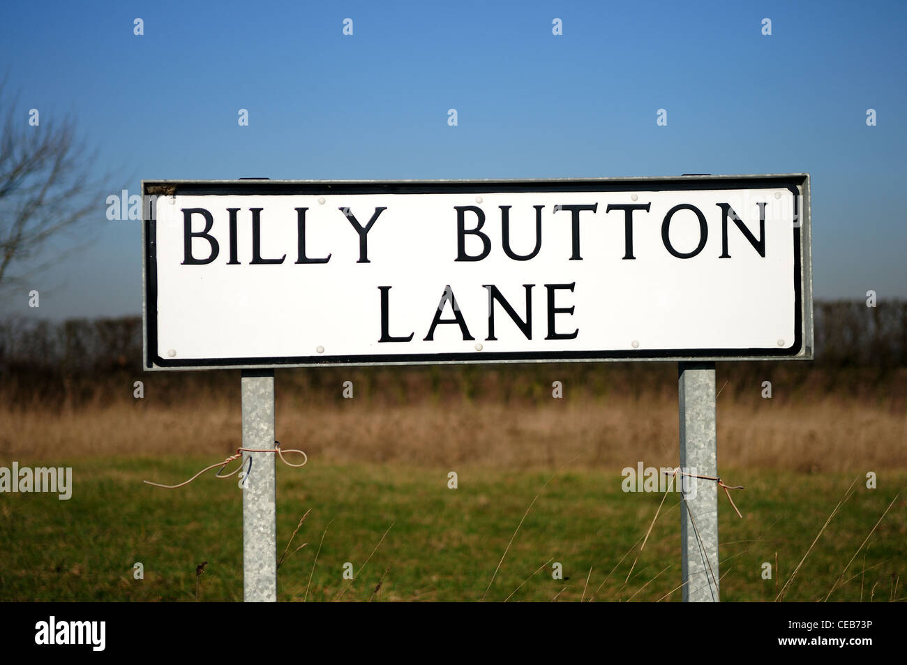 Bouton Billy Lane North Lincolnshire Angleterre.Scrooby. Banque D'Images