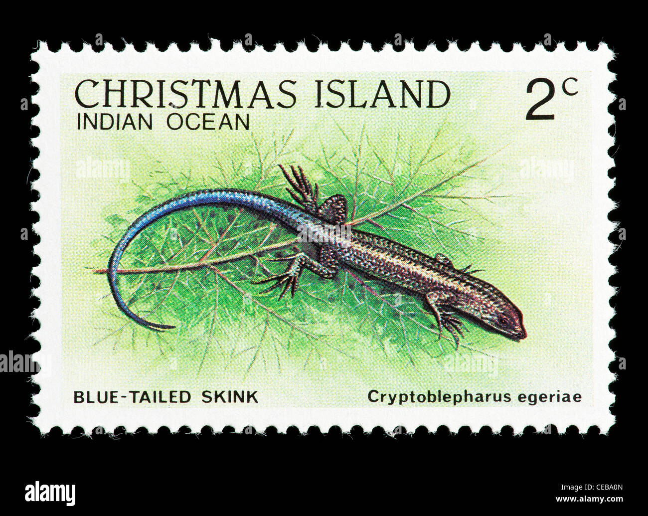 Timbre-poste de l'île de Noël représentant un scinque à queue bleue (Cryptoblepharus egeriae) Banque D'Images