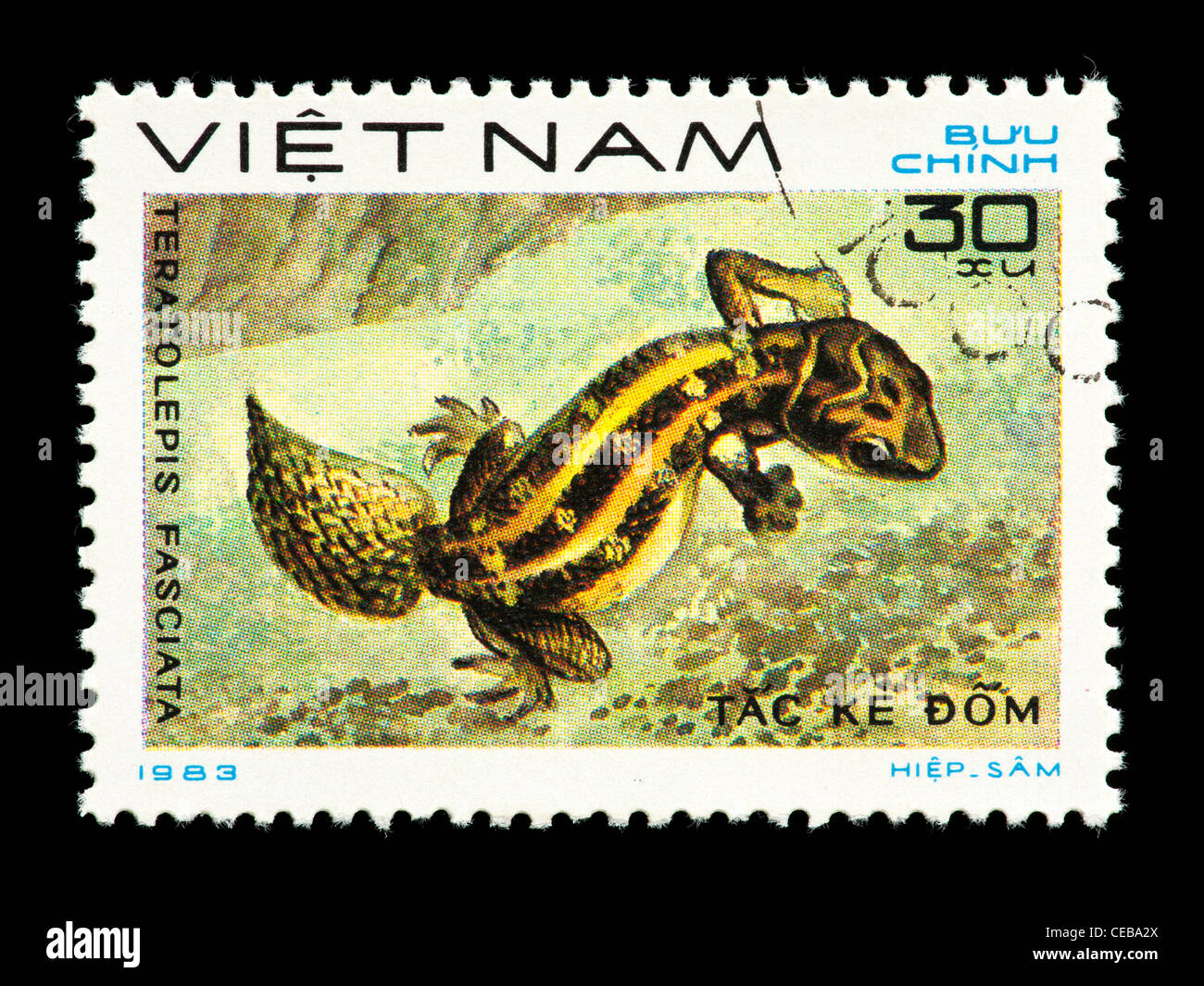 Timbre-poste du Vietnam représentant une carotte-tail Viper Gecko (Teratolepis fasciata) Banque D'Images