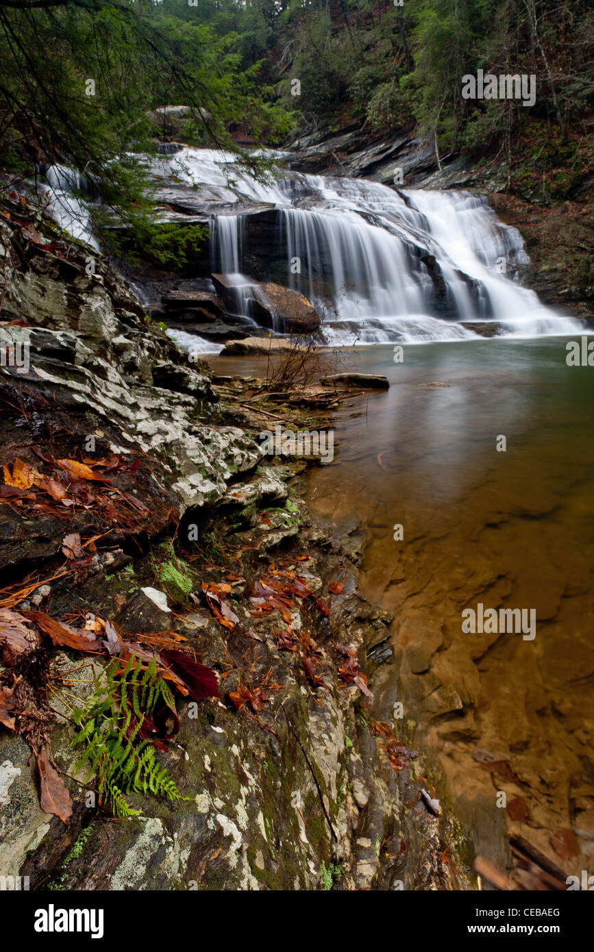 Panther Creek Falls est situé à habersham comté dans la Géorgie du nord. Ils peuvent être atteint par un sentier de randonnée de 3,5 km le long de big modérée de panther creek. Le sentier est situé au camping de panther creek. Banque D'Images