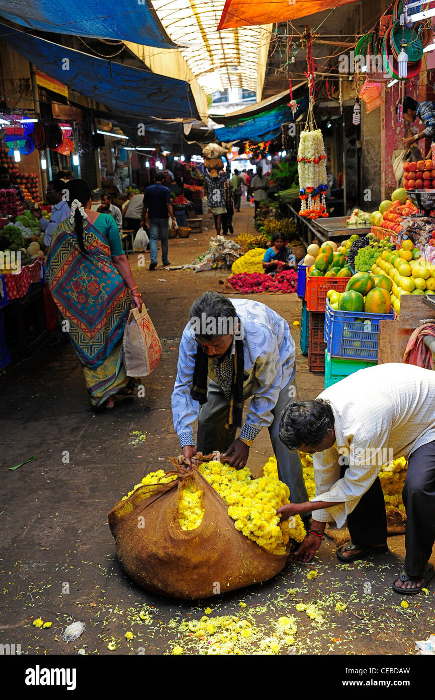 Fleurs jaune d'être emballés au Devaraja Market à Mysore, Karnataka, Inde. Banque D'Images