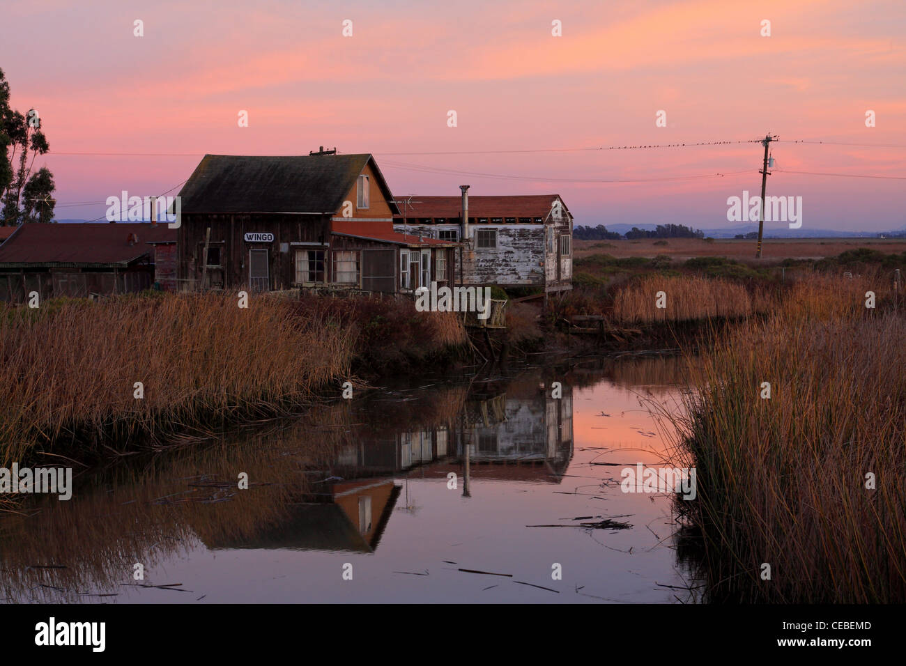 La ville fantôme de Wingo se trouve dans les marais au nord de la baie de San Pablo, le long des rives de Sonoma Creek. Banque D'Images