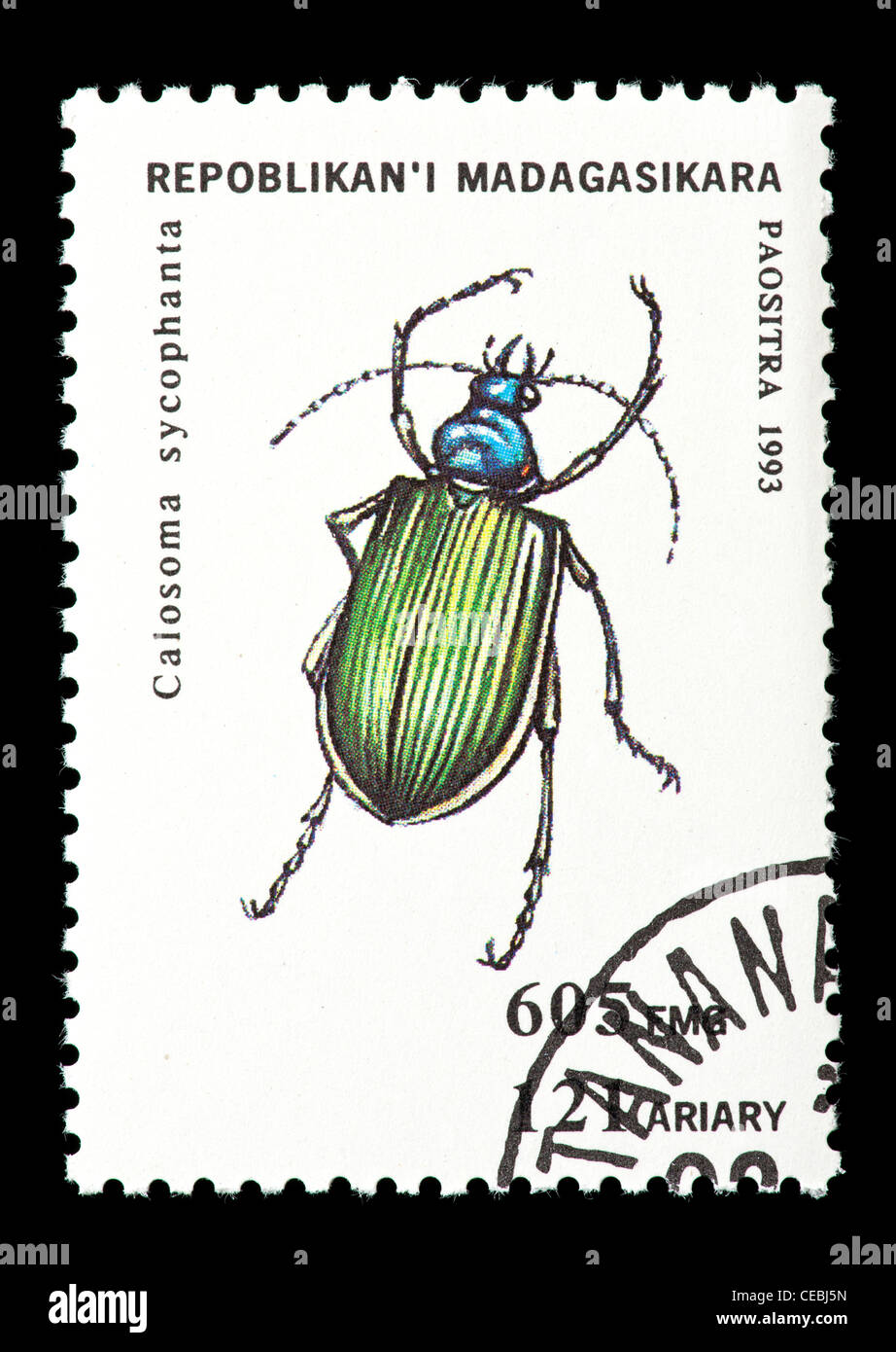 Timbre-poste de la République malgache (Madagascar) représentant un scarabée (Calosoma sychophanta) Banque D'Images