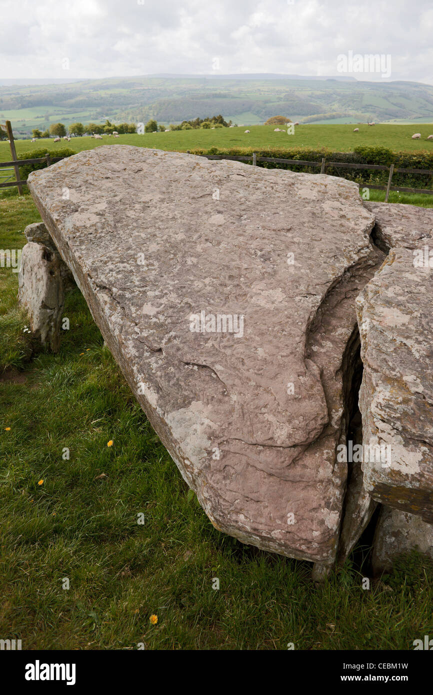 Arthur's Stone chambre funéraire néolithique près de Dorstone/Brewardine Herefordshire Banque D'Images