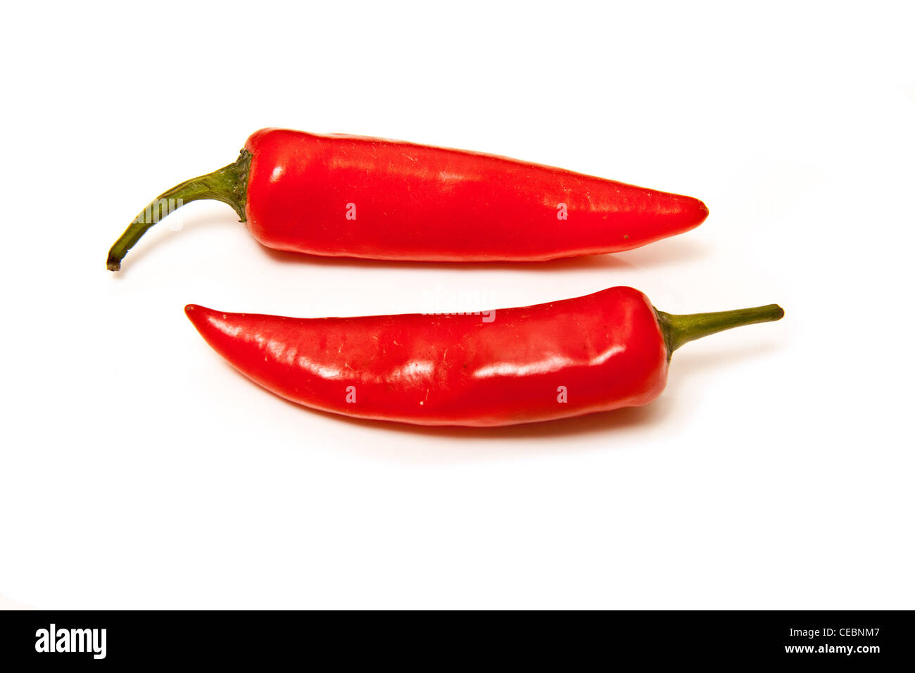 Piment rouge isolé sur fond blanc un studio. Banque D'Images