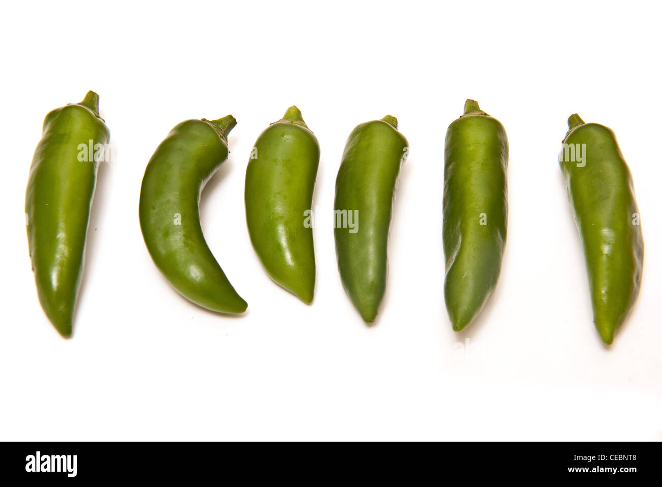 Piment vert isolé sur un fond blanc studio. Banque D'Images