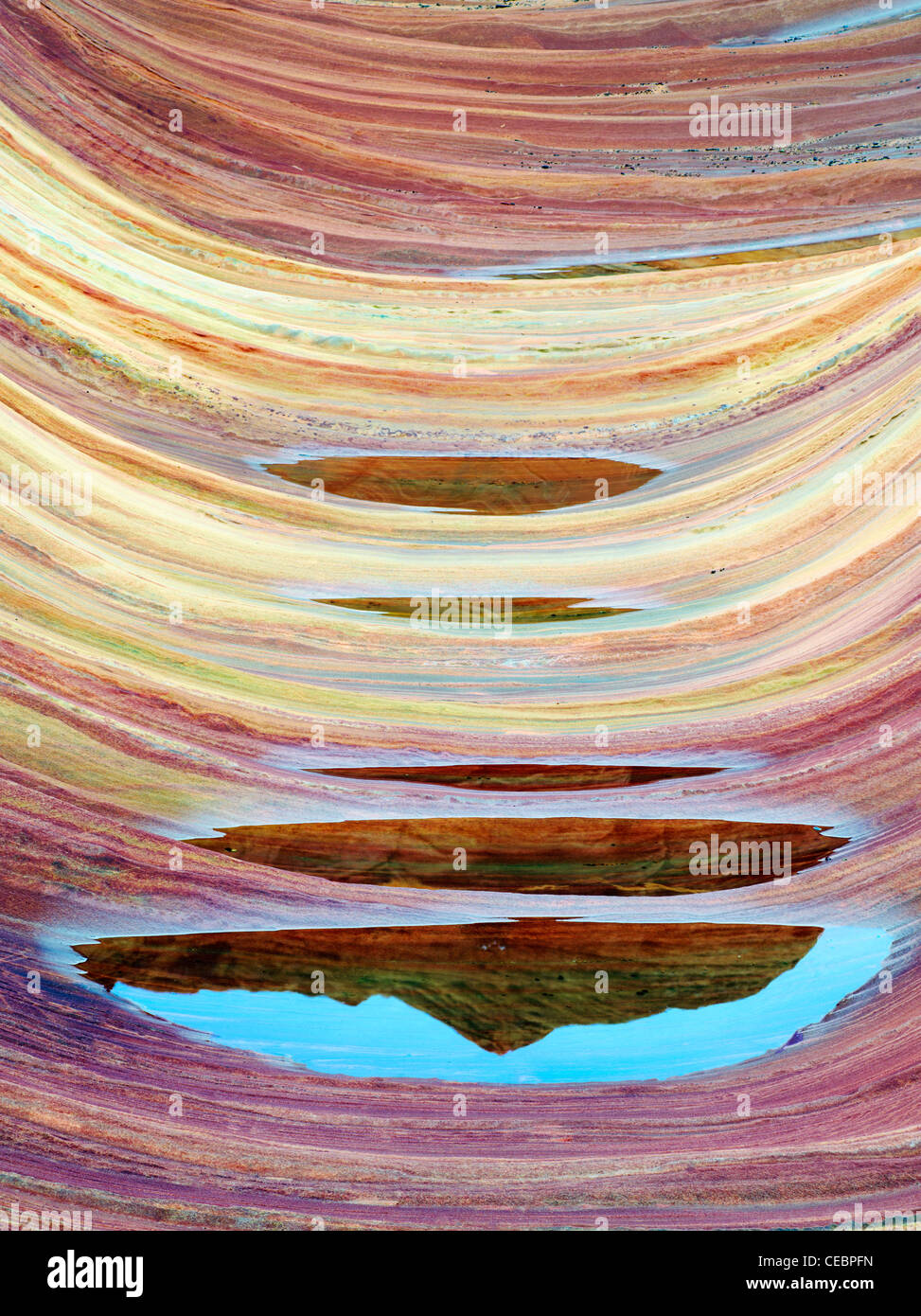Formation Sandtone et piscine de l'eau en Amérique du Coyote Buttes, l'onde. Paria Canyon Vermillion Cliffs Wilderness. Utah/Arizona Banque D'Images