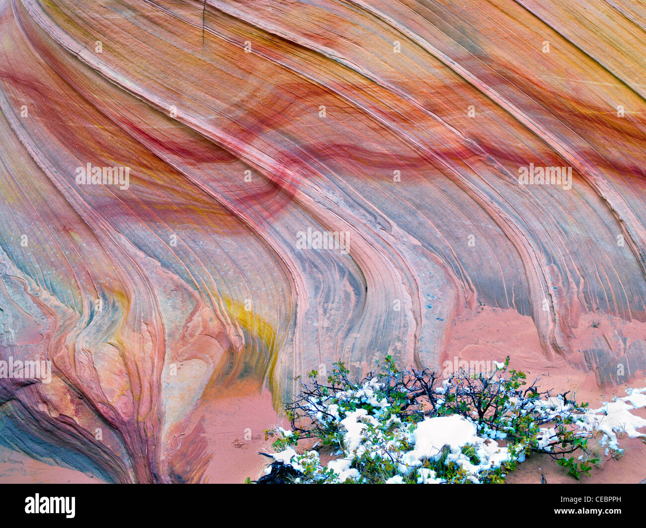 Sandtone formation et la neige en Amérique du Coyote Buttes, l'onde. Paria Canyon Vermillion Cliffs Wilderness. Utah/Arizona Banque D'Images