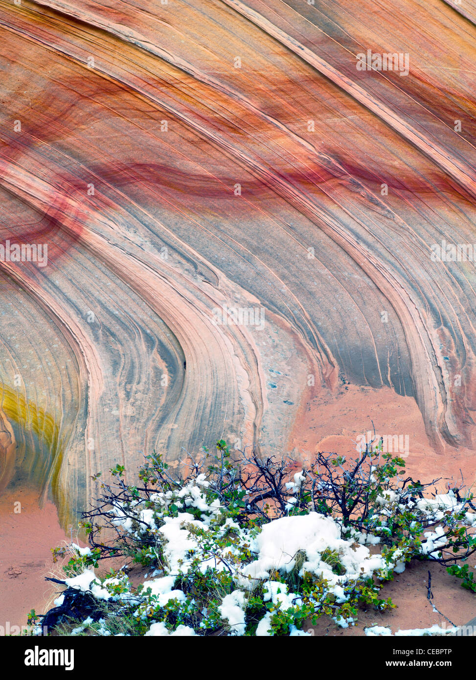 Sandtone formation et la neige en Amérique du Coyote Buttes, l'onde. Paria Canyon Vermillion Cliffs Wilderness. Utah/Arizona Banque D'Images
