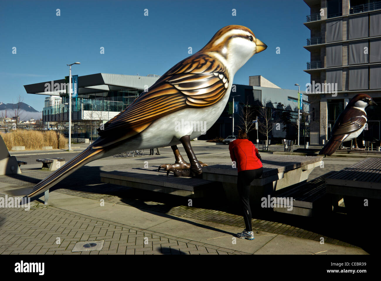 Female jogger stretching bird sculptures art afficher jeux olympiques d'hiver de 2010, l'athlète de Legacy village housing development Banque D'Images