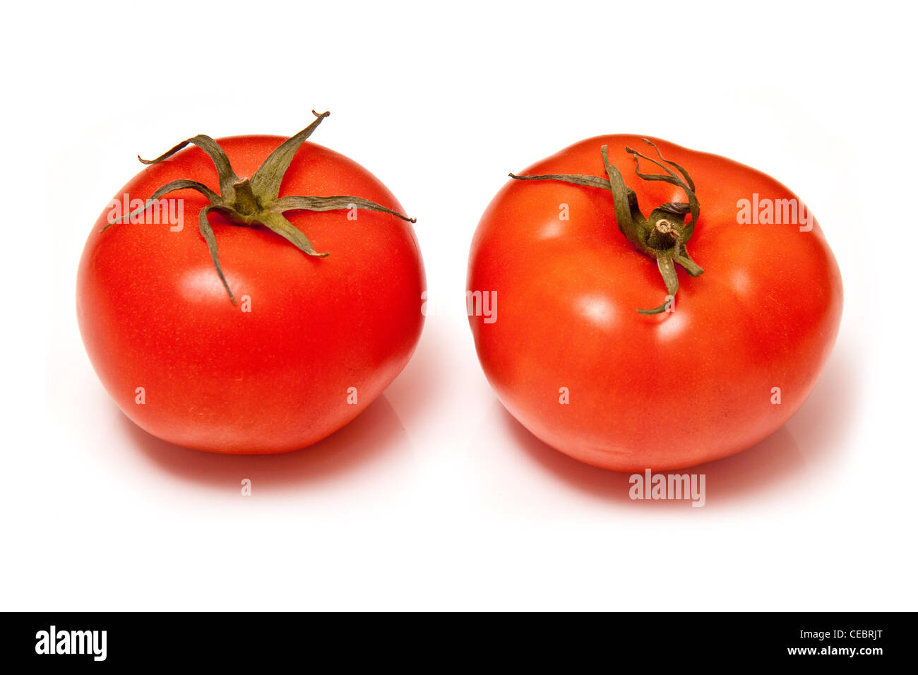 Tomates, isolé sur un fond blanc studio. Banque D'Images