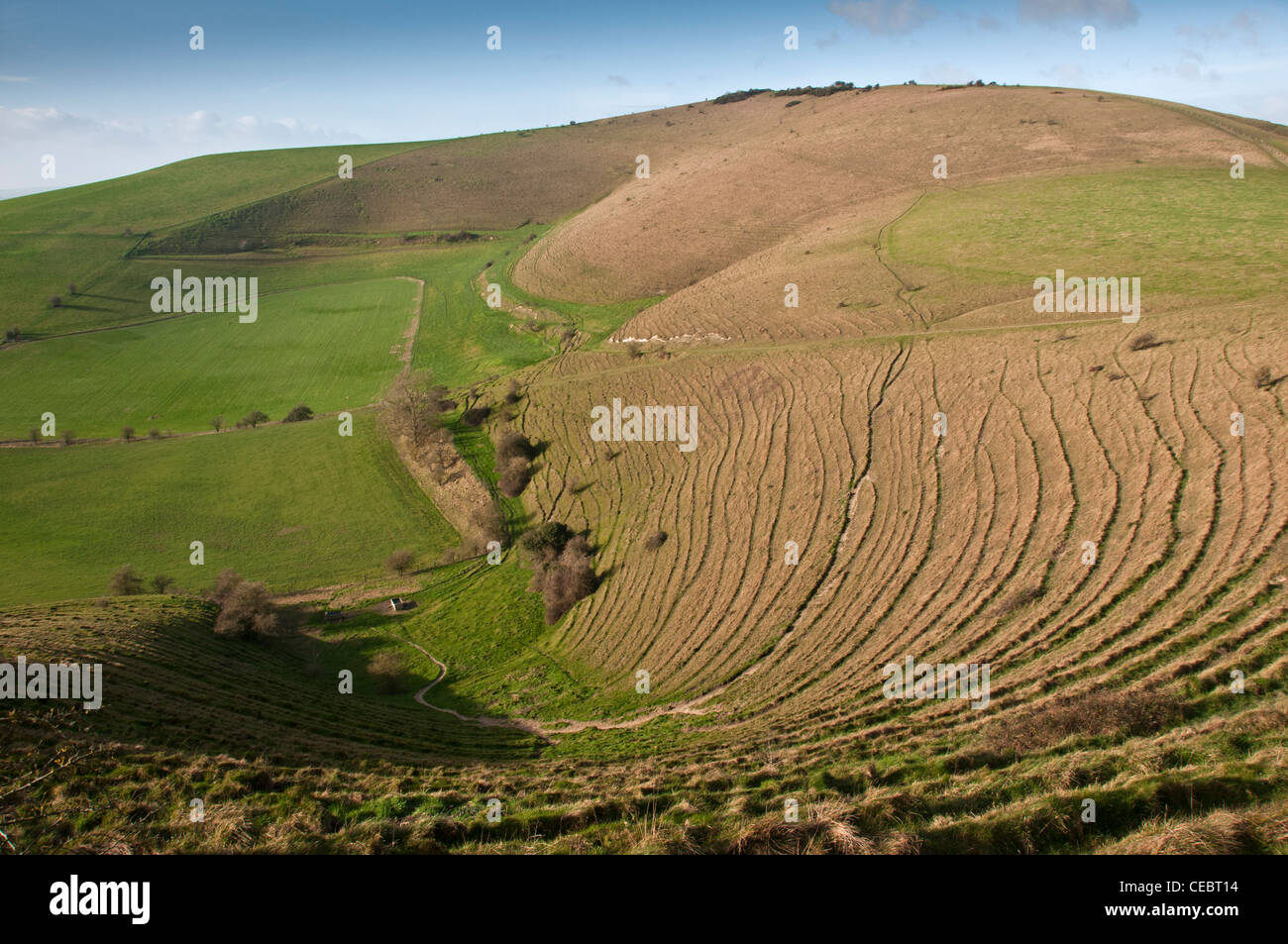 Fontmell bas, Dorset, Angleterre Banque D'Images