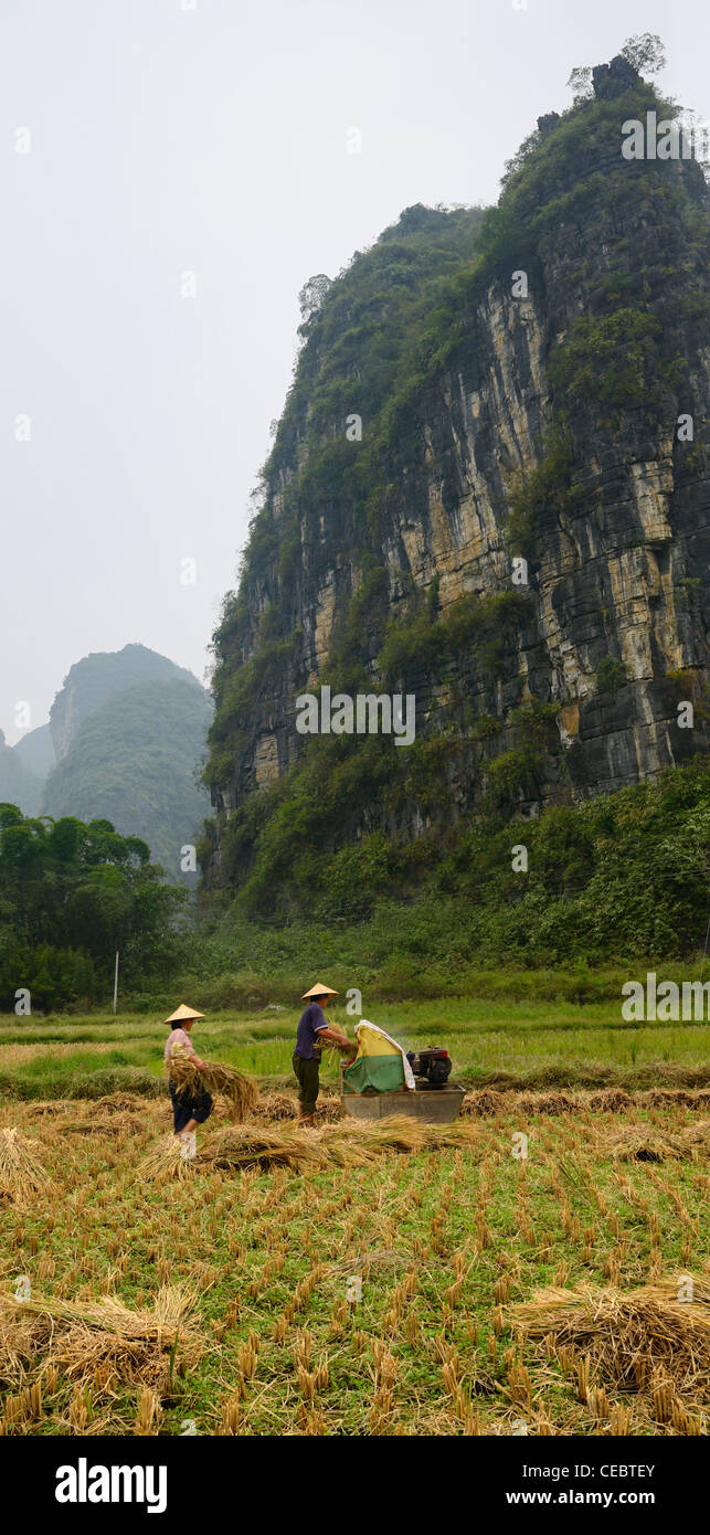 L'homme et la femme à côté de la récolte de la récolte du riz aux agriculteurs de calcaire karstique près de Yangshuo République populaire de Chine Banque D'Images
