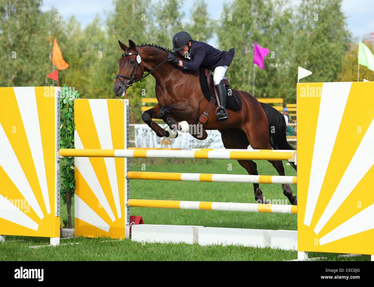 Le sport équestre. Compétition cso. Concour hoppique Banque D'Images
