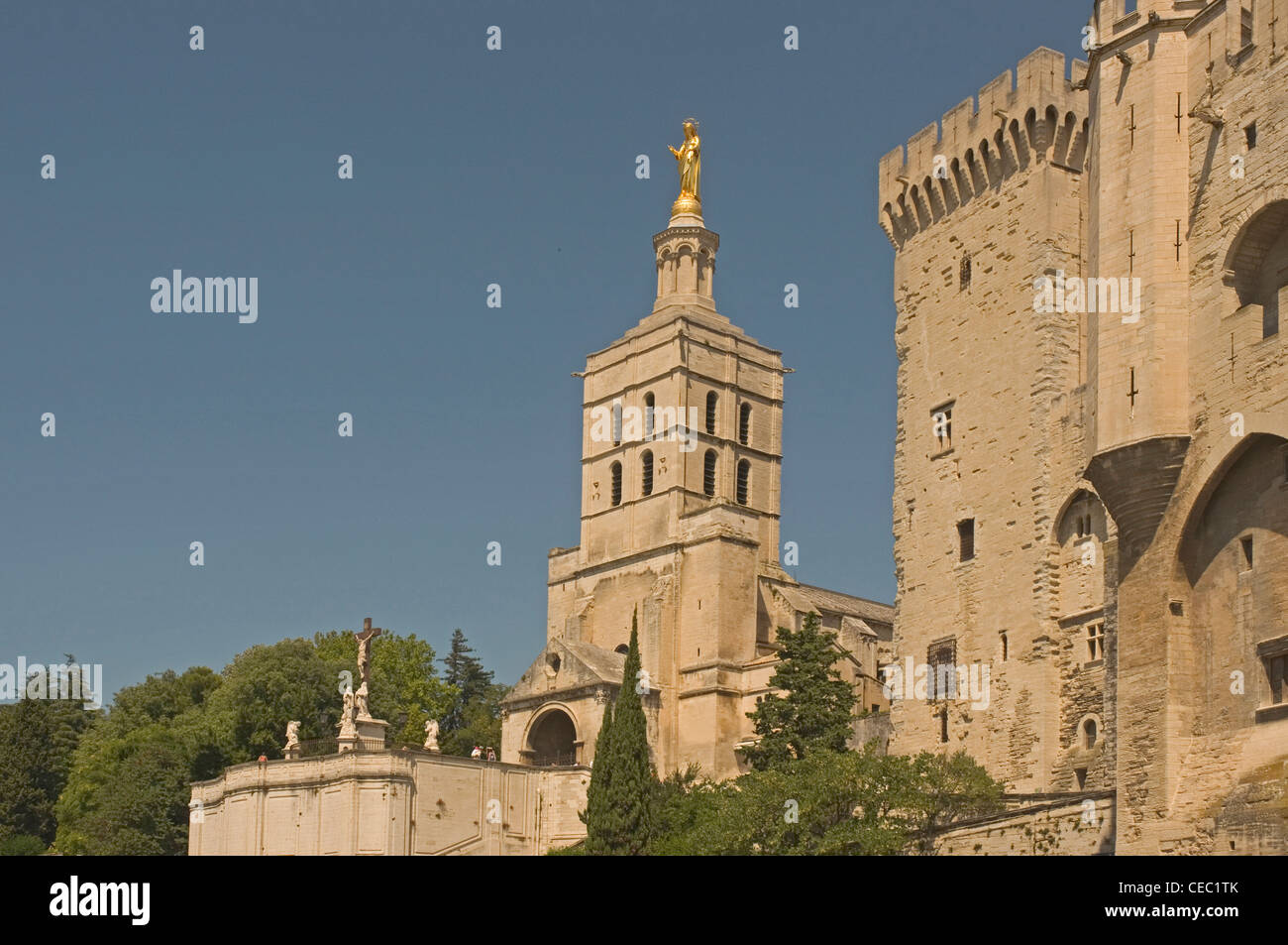 EUROPE, FRANCE, Avignon, Catholique Cathédrale Notre-Dame-des-Doms avec d'énormes Vierge dorée sur le beffroi (12ème siècle), next Banque D'Images