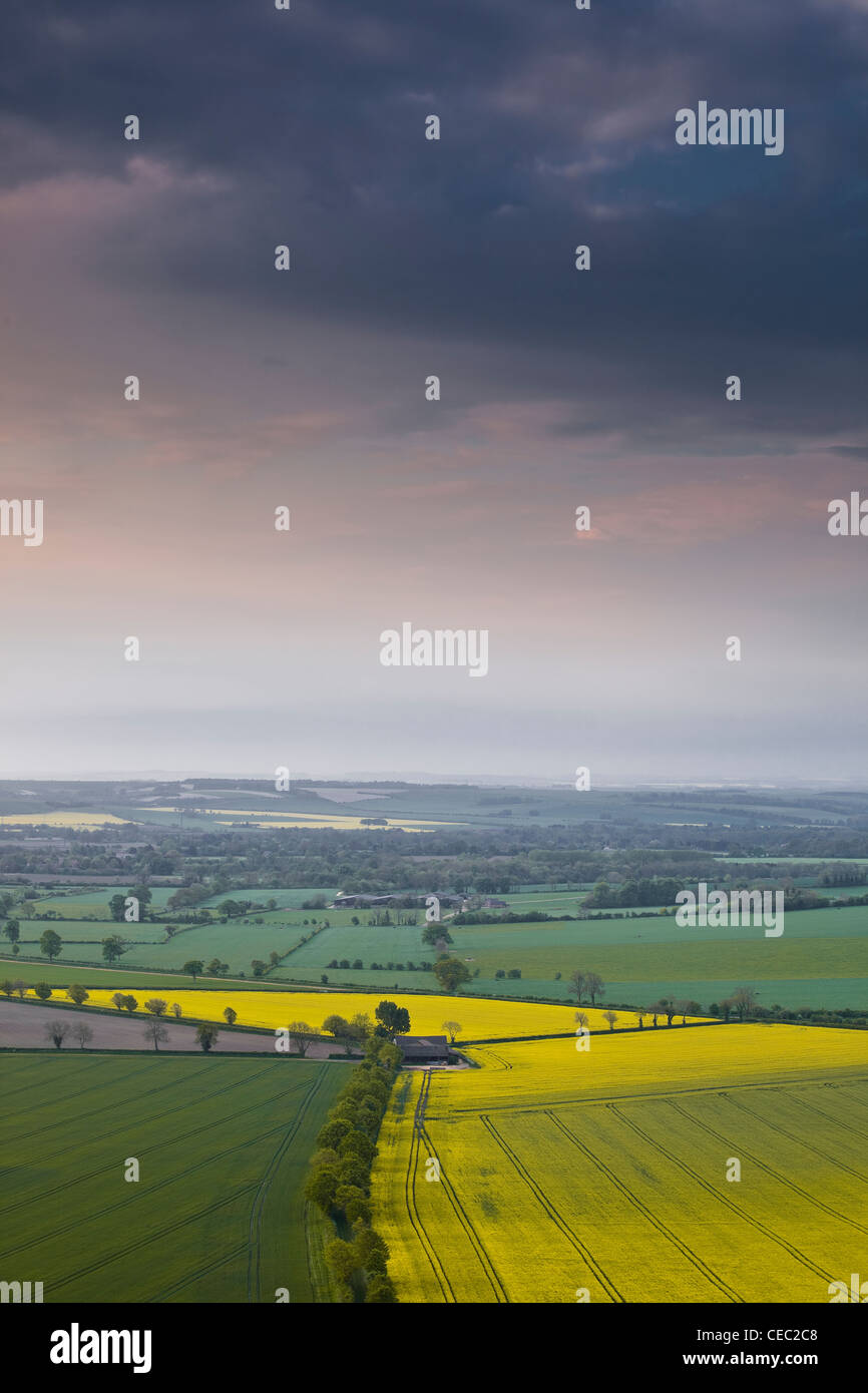 La recherche à travers la vallée de Pewsey, Wiltshire, Angleterre, Royaume-Uni. Le soleil se lève à l'est de la création d'une lueur rose dans le ciel au-dessus. Banque D'Images