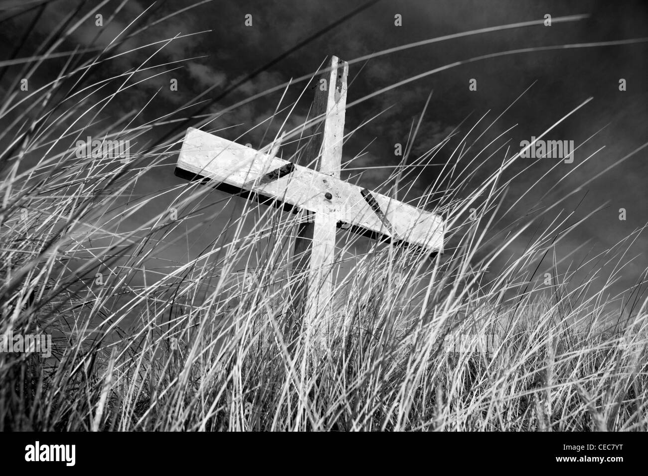 Croix de bois utilisé à l'appui d'une bague de vie entouré par de longues herbes ammophile de dunes de sable côtières Banque D'Images