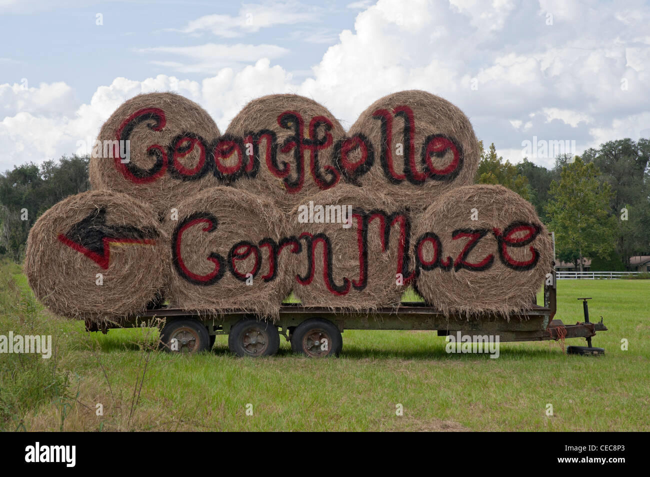 Floride Rural hay rolls panneau indiquant à un labyrinthe de maïs. Banque D'Images