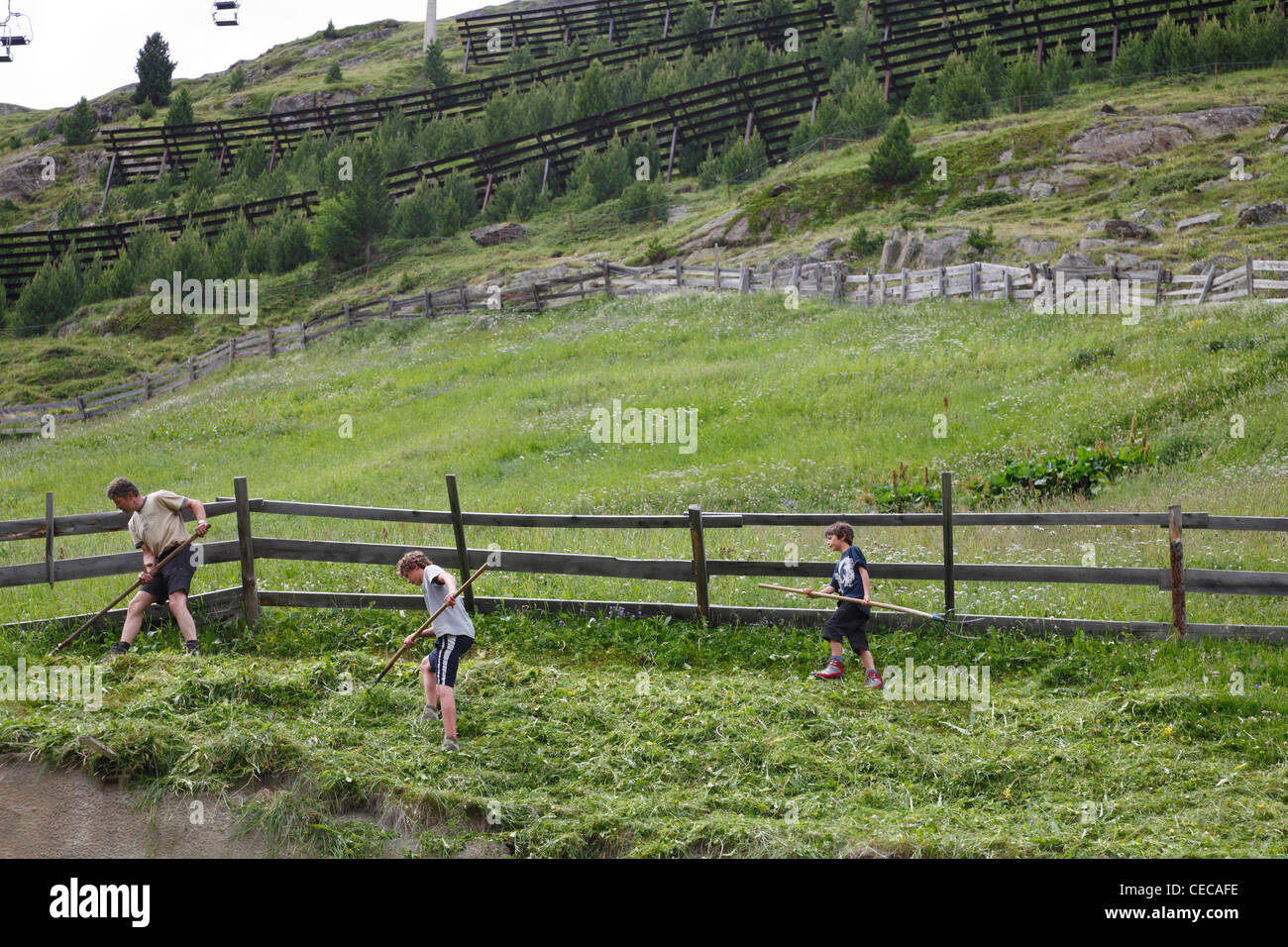 Le foin de la famille d'agriculteurs dans l'agriculture dans le village alpin vent près de Sölden, Autriche. Toutes les parcelles d'herbe dans le village sont rognées. Banque D'Images