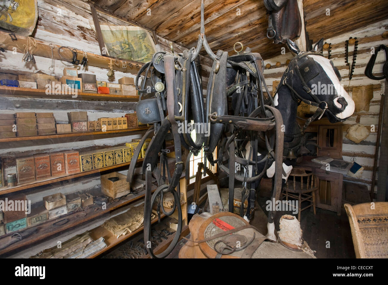 Nevada City, Montana. Maison de ville restaurée, maintenant une piscine musée historique, avec 90 bâtiments historiques, d'objets et de mobilier. Banque D'Images