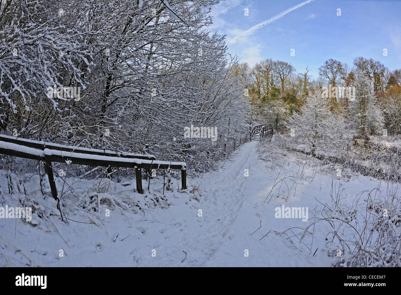 Un sentier couvert de neige qui mène à un petit pont de bois et une couche de neige recouvrent le sol et les arbres. Banque D'Images