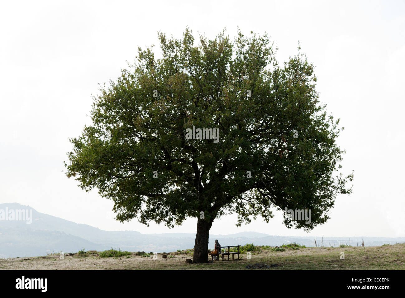Femme était assise sur le banc sous l'arbre de chêne donnant sur Misty Hills en Latium Italie Banque D'Images