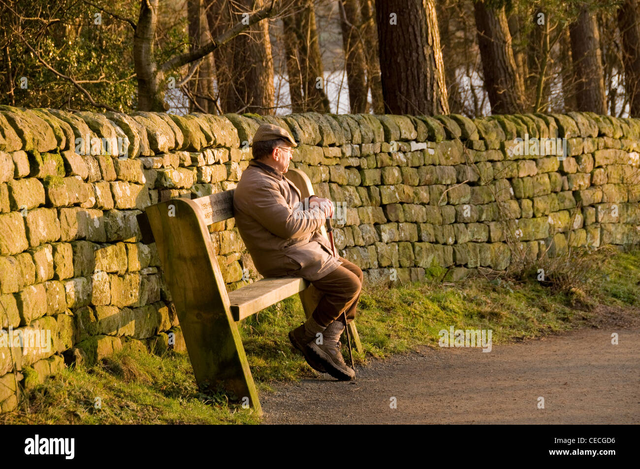Man (Walker) assis sur la banquette en bois, le repos et la détente au calme endroit pittoresque ensoleillée (par mur en pierre et arbres) - Réservoir Swinsty, Yorkshire, FR, UK Banque D'Images