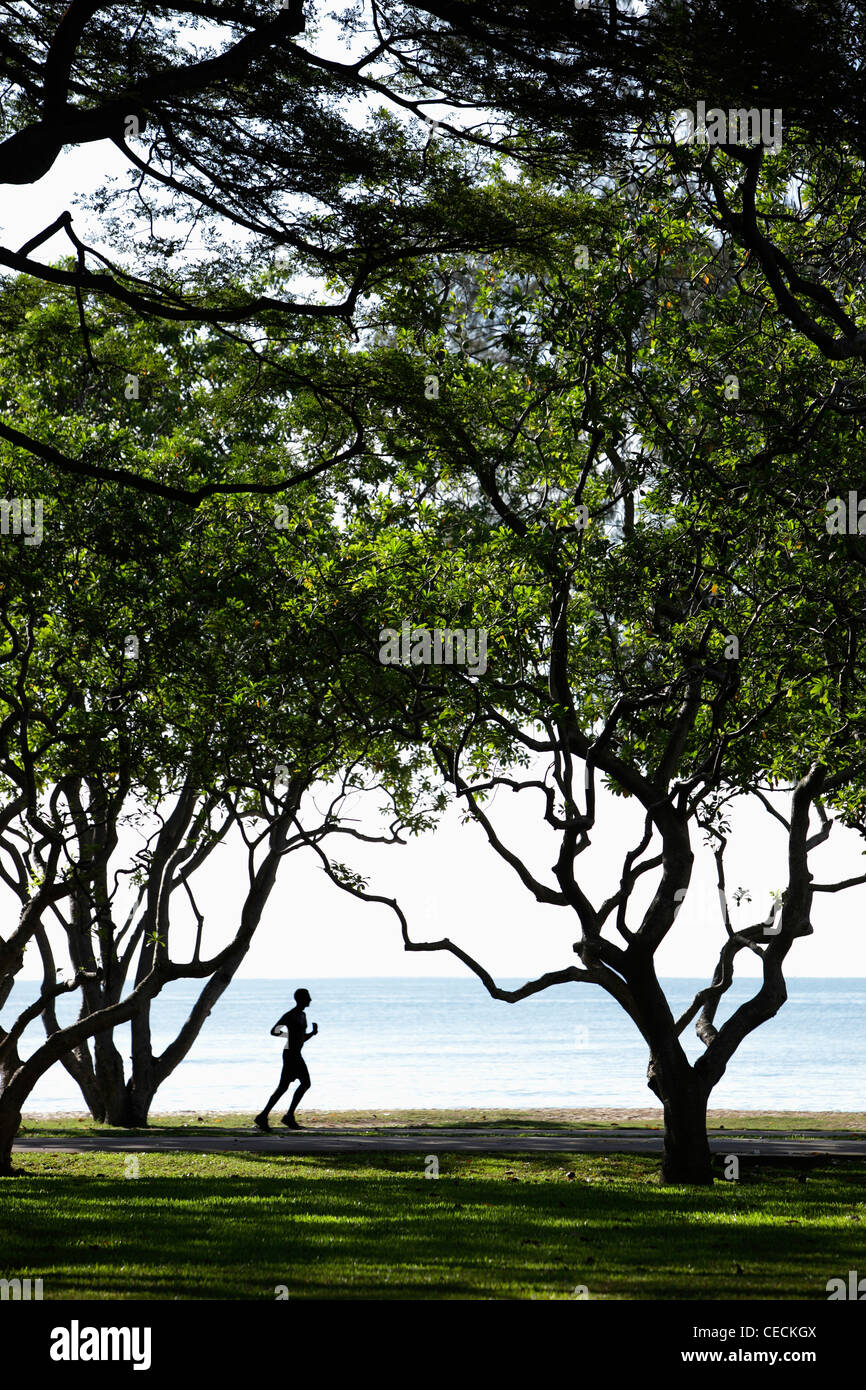 Man jogging sous les arbres près de ocean Banque D'Images