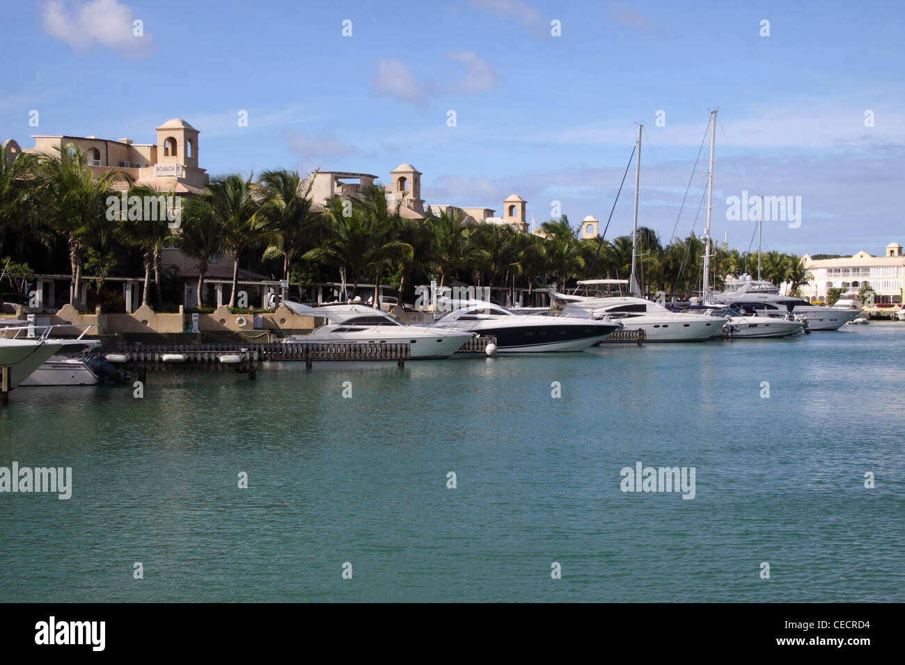Luxury yachts amarrés au port St Charles, Barbados, West Indies. Banque D'Images