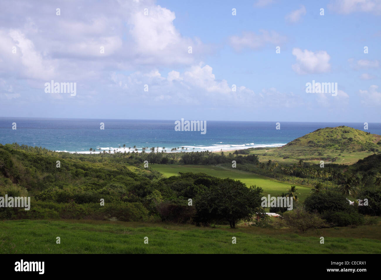 Vue de dessus de la côte est de la Barbade, dans les Antilles et l'océan Atlantique. Banque D'Images