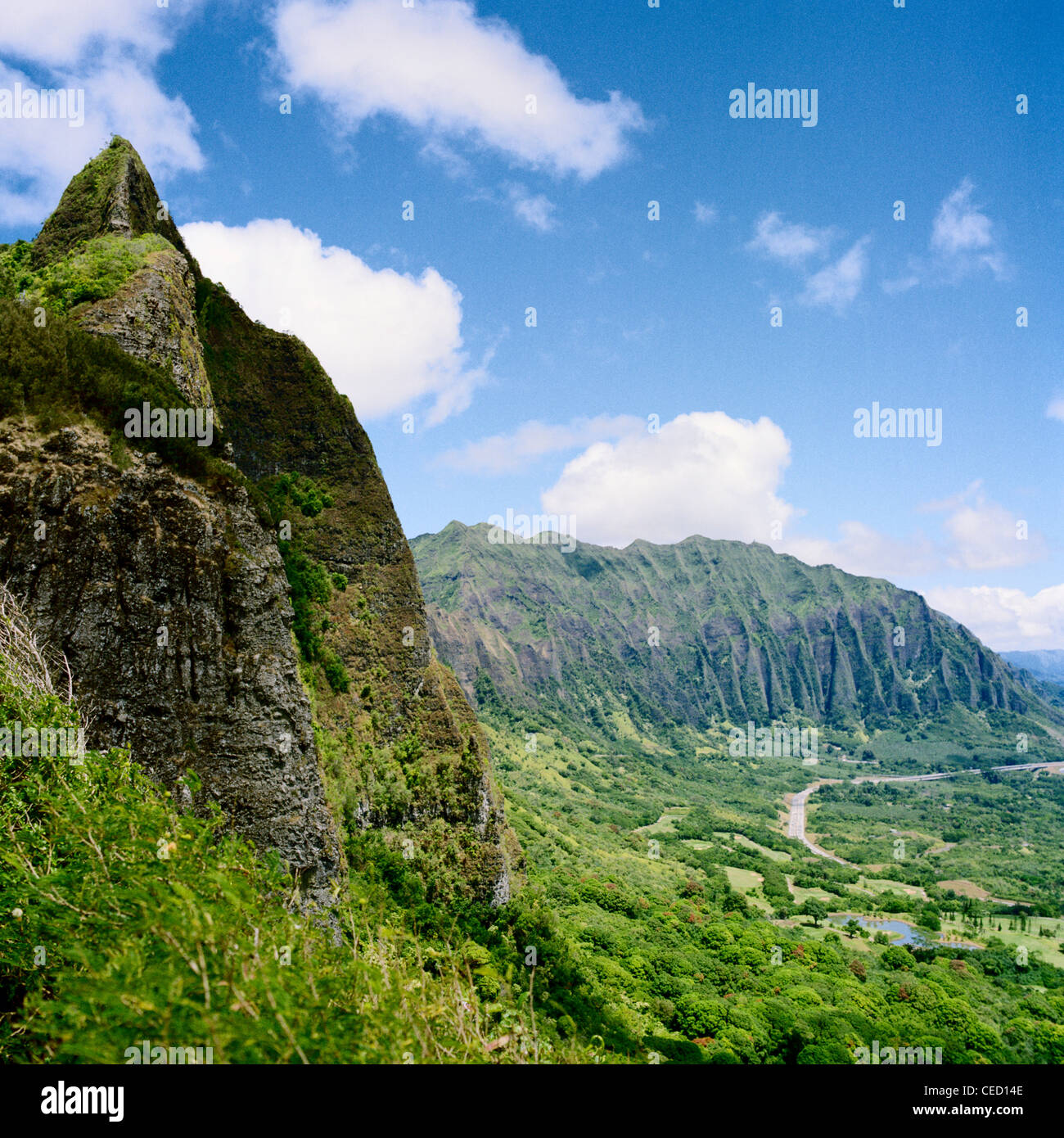 Nu'uanu Pali Oahu Hawaii orientale Banque D'Images