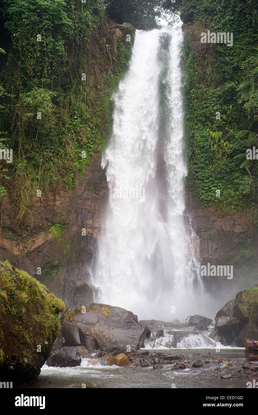 Cascade de Gitgit est une belle cascade situé dans la zone du plateau et c'est l'un des lieux d'intérêt dans le nord de Bali Banque D'Images