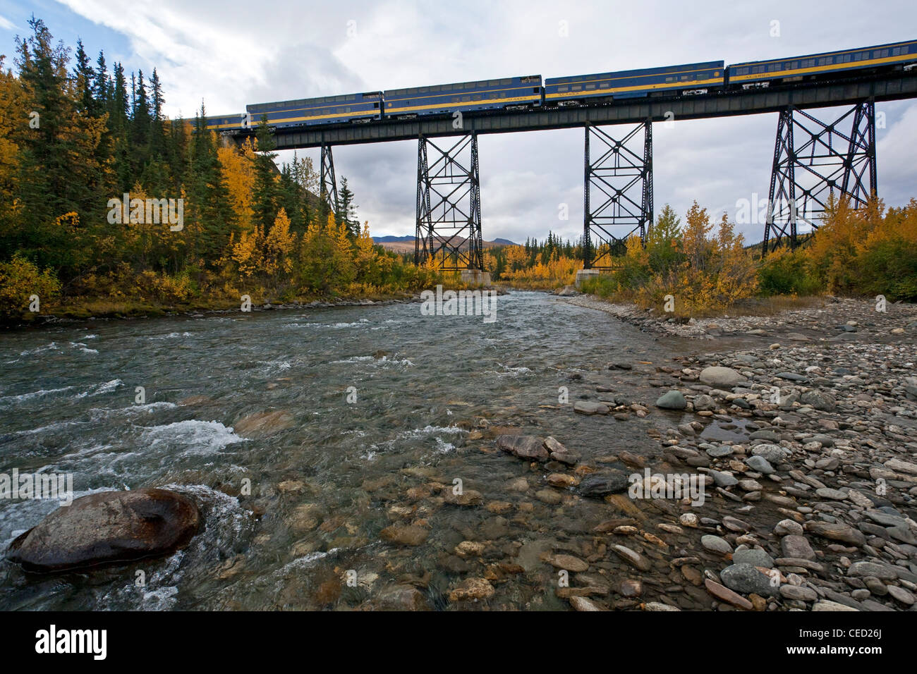 La Denali Star train traversant un pont sur Riley Creek. Denali National Park. De l'Alaska. USA Banque D'Images