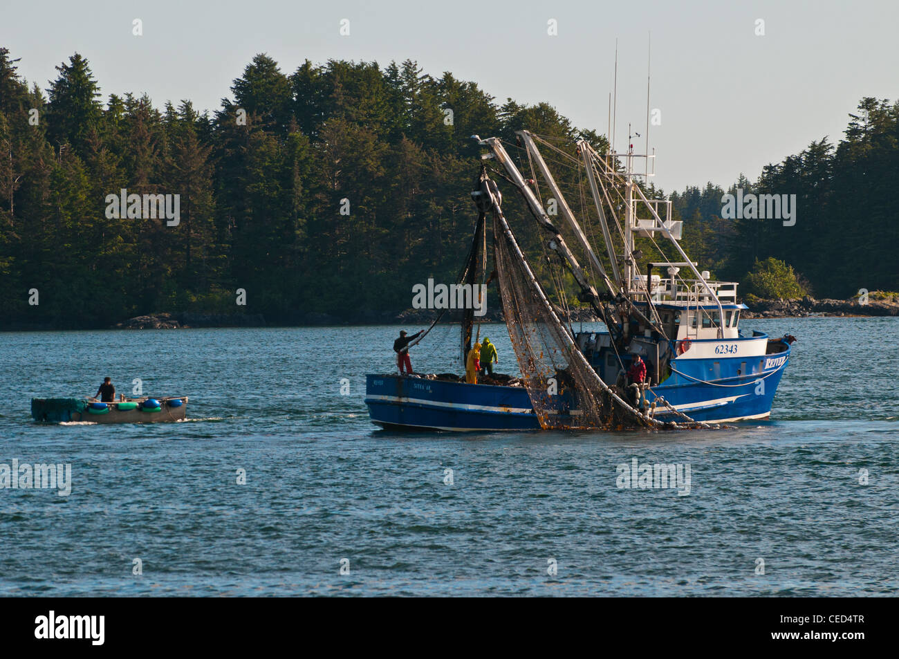 La pêche à la senne du saumon, Sitka, Alaska Banque D'Images