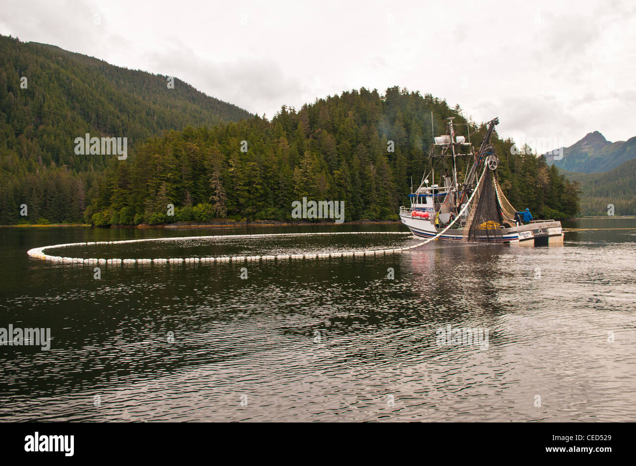 La pêche à la senne du saumon, Sitka, Alaska Banque D'Images
