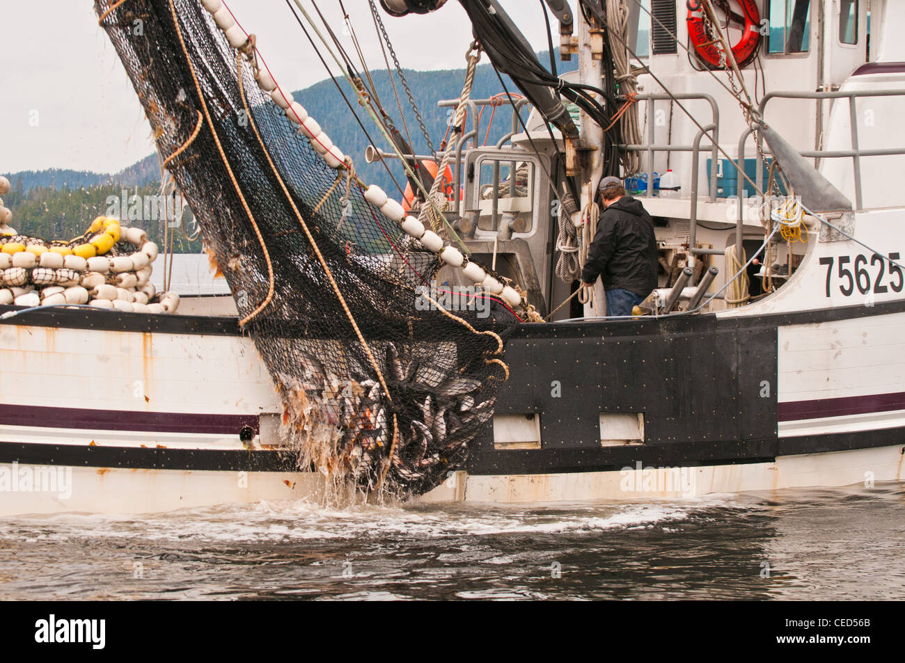 La pêche à la senne du saumon, Sitka, Alaska Banque D'Images