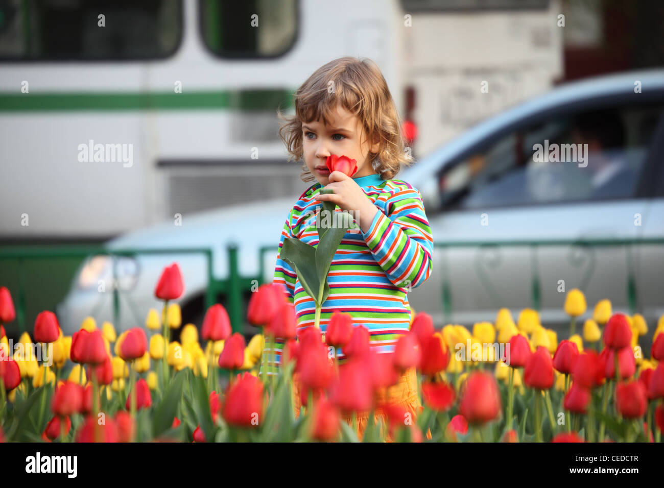 Petite fille en t-shirt à rayures et des tulipes sur la rue Banque D'Images