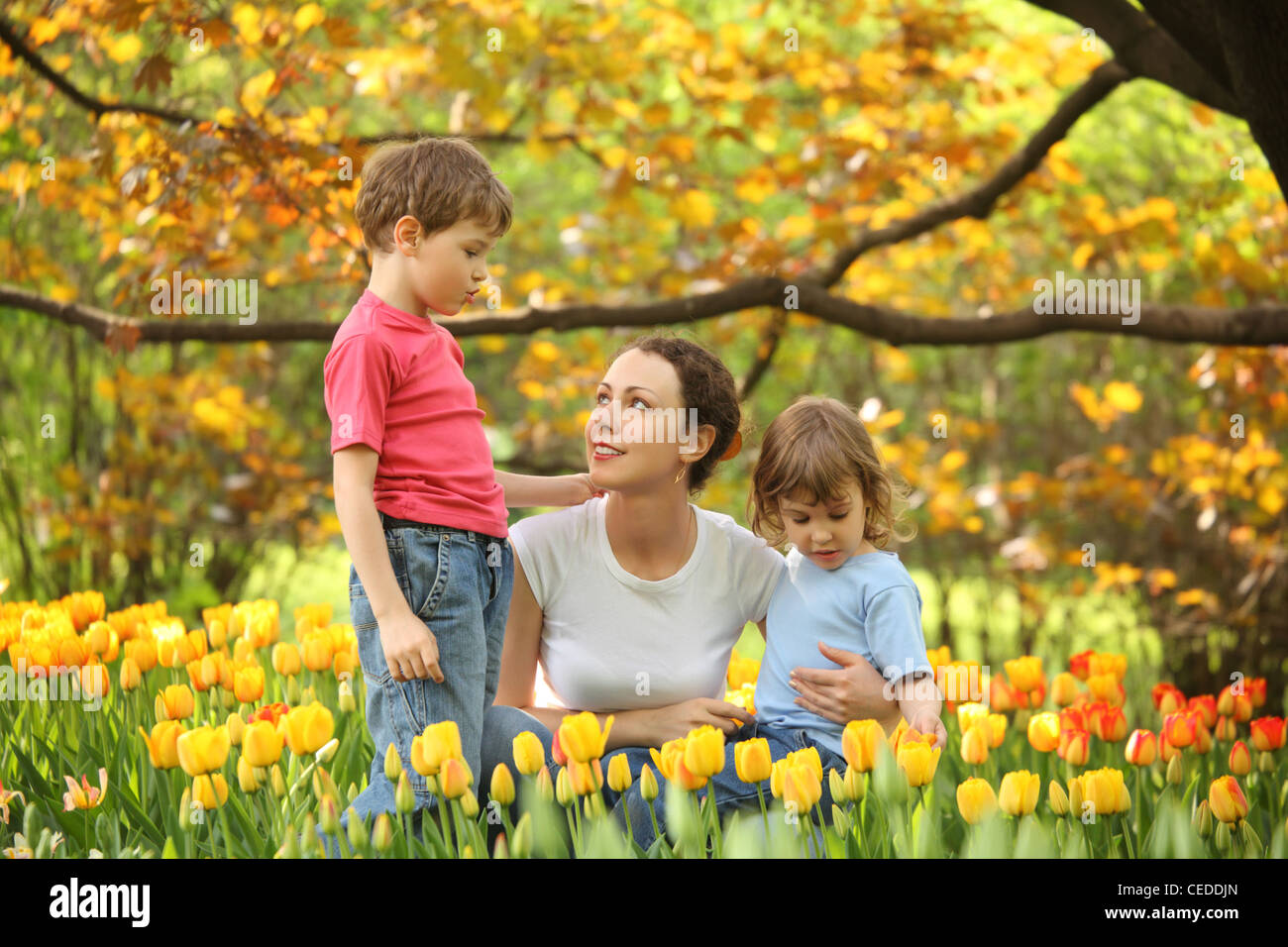 Mère avec enfants en jardin au printemps chez les tulipes en fleurs Banque D'Images