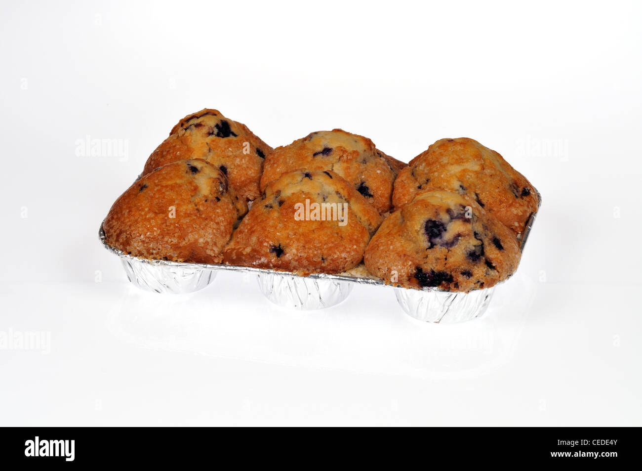 Boîte de 6 muffins aux bleuets frais supermarché sur fond blanc dentelle USA Banque D'Images