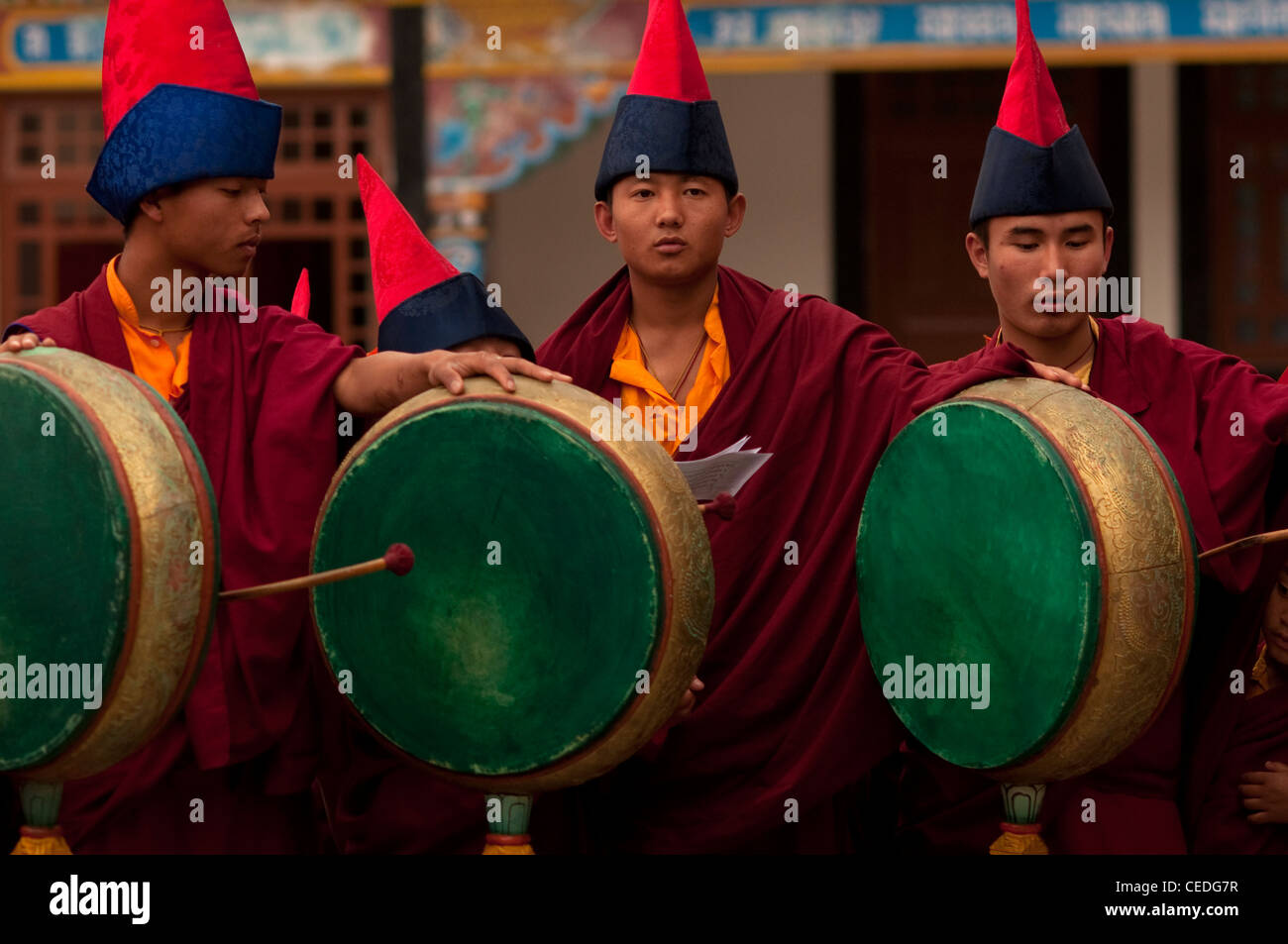 Des moines bouddhistes à jouer de la batterie dans un Losar cérémonie, Sikkim, Inde Banque D'Images