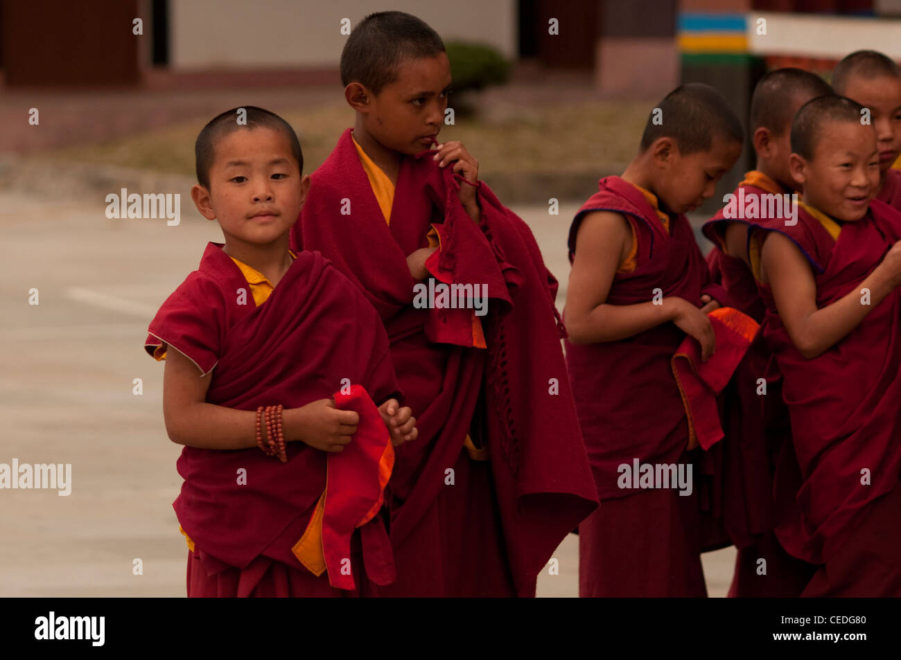 Peu de moines bouddhistes, Sikkim, Inde Banque D'Images