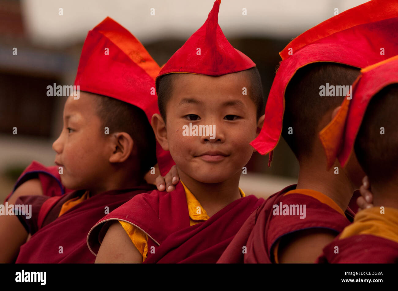 Peu de moines bouddhistes, Sikkim, Inde Banque D'Images