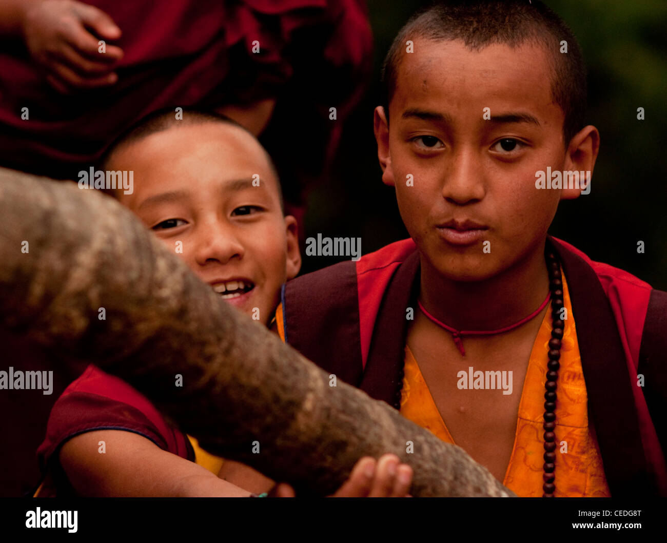 Portrait d'un moine bouddhiste, étudiant le Sikkim, Inde Banque D'Images